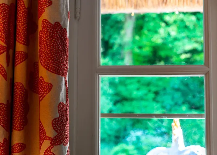 Affittacamere New & De Nage